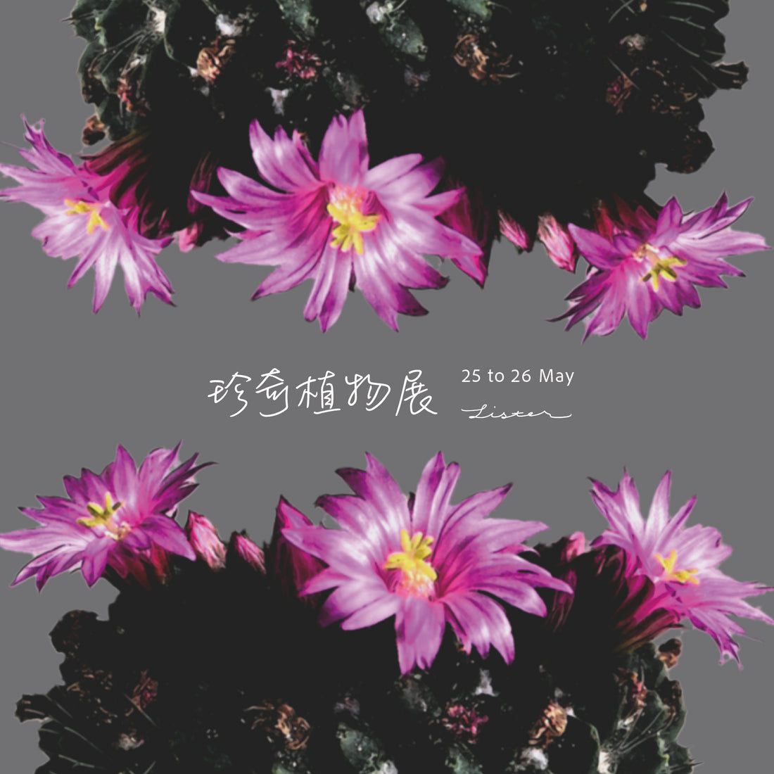 珍奇植物展 2024
