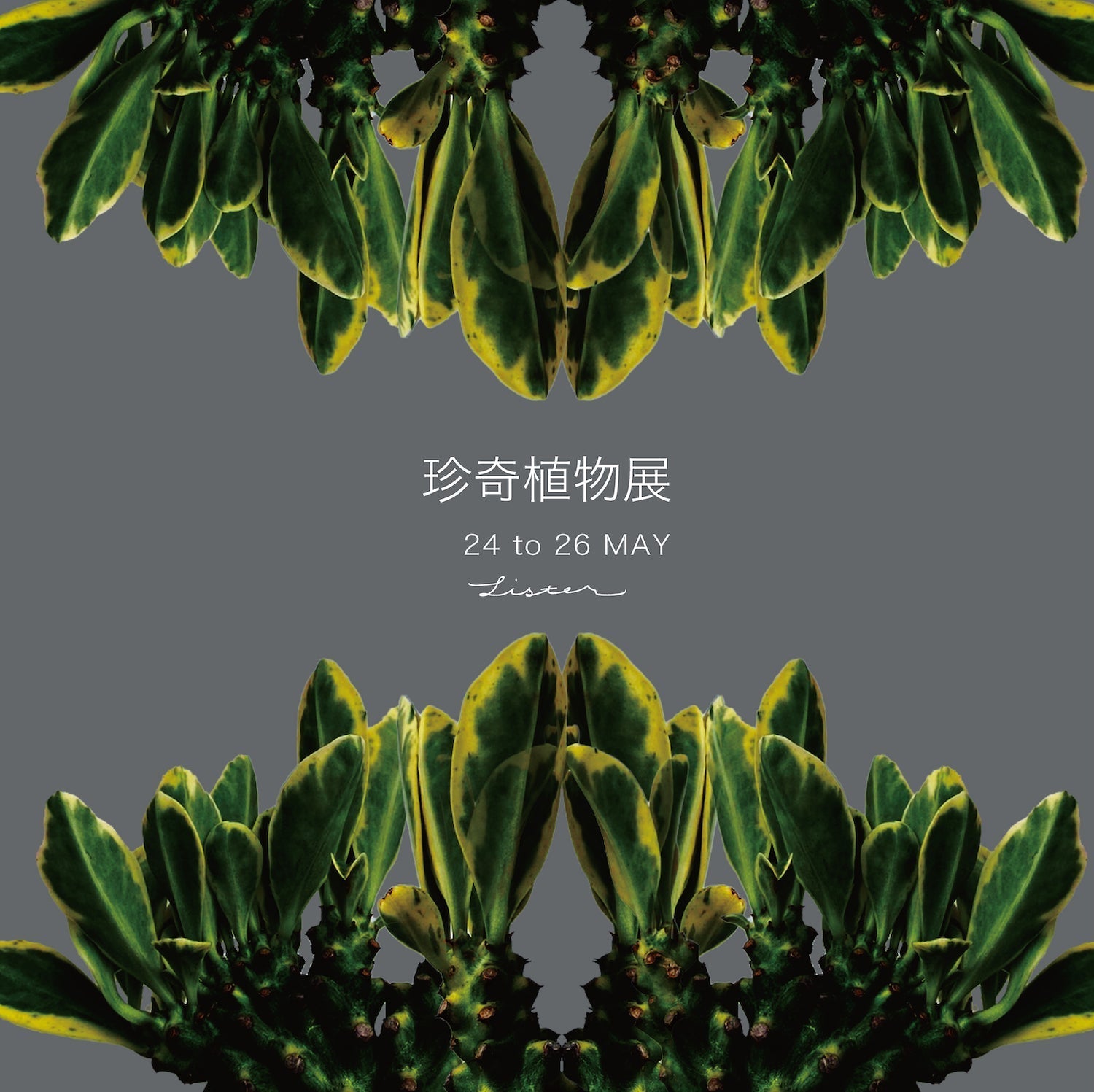 珍奇植物展 2025 – SISTER