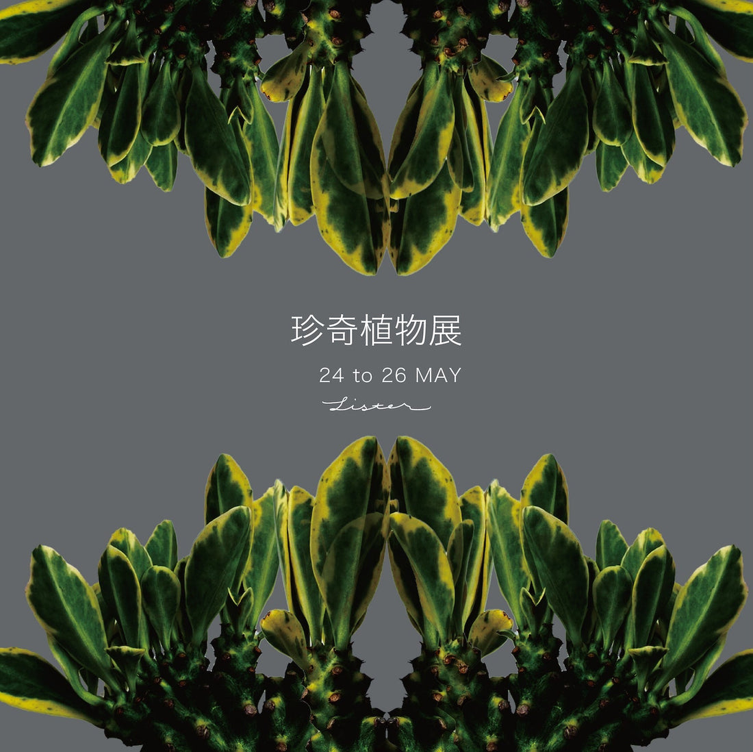 珍奇植物展 2025