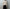 T.T 「Knit Sports Jacket c.1930’s / MIX BEIGE」