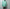 AURALEE 「LIGHT SHEER NYLON HALF ZIP P/O / JADE GREEN」