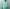 AURALEE 「LIGHT SHEER NYLON HALF ZIP P/O / JADE GREEN」