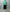 Marvine Pontiak shirt makers「Open Collar SH / Green」