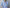 BROWN by 2-tacs 「Aloha S/S - Purple」*JERRY UKAI