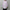 Marvin pontiak shirt makers「Skipper SH / Babypink ST」