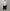 Marvin pontiak shirt makers「Skipper SH / Babypink ST」