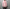 Midorikawa 「MID24SS-SH04 – WAIST ZIP SHIRTS / PINK」
