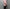 Midorikawa 「MID24SS-SH04 – WAIST ZIP SHIRTS / PINK」