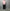 Midorikawa 「MID24SS-SH04 – WAIST ZIP SHIRTS / PINK」
