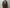 AURALEE「BRUSHED ALPACA WOOL MELTON TRENCH COAT / DARK OLIVE」