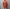 Marvine Pontiak shirt makers 「Bubbly SH / Blood Orange」