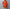 Marvine Pontiak shirt makers 「Bubbly SH / Blood Orange」