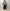 HOMELESS TAILOR「THE WALL CAPE」