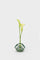 Hender Scheme – science vase：化瓶- 「Flat-bottom flask 300ml / green」