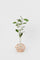 Hender Scheme – science vase：化瓶- 「Flat-bottom flask 300ml / natural」
