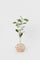 Hender Scheme – science vase:化瓶- 「Flat-bottom flask 300ml / natural」