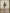 ROLD SKOV 「WIDE DIRTY」