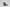 MOLEBO「M2474 - BLACK」