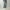 AURALEE 「FADED HEAVY DENIM CENTER-PLEATED PANTS / FADED BLACK」