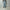 AURALEE 「FADED HEAVY DENIM CENTER-PLEATED PANTS / FADED INDIGO」
