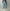 AURALEE 「FADED HEAVY DENIM CENTER-PLEATED PANTS / FADED INDIGO」