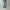 AURALEE 「FADED HEAVY DENIM CENTER-PLEATED PANTS / FADED INDIGO」