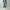 AURALEE 「SELVEDGE FADED HEAVY DENIM WIDE PANTS」