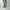 AURALEE 「SELVEDGE FADED HEAVY DENIM WIDE PANTS」