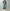AURALEE 「SELVEDGE FADED HEAVY DENIM WIDE PANTS」