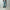 AURALEE 「SELVEDGE FADED HEAVY DENIM WIDE PANTS」