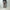 ROLD SKOV 「WIDE BATAVIA BROWN」