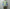 Adrian Cashmere 「Sage & Lavender Double layer」