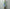 Adrian Cashmere 「Sage & Lavender Double layer」