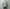Adrian Cashmere 「Sage & Lavender Double layer」