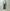 Adrian Cashmere 「Sage & Lavender Double layer」