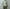 Adrian Cashmere 「Sage & Lavender Double layer」