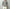 AURALEE「SHETLAND WOOL CASHMERE RIB KNIT P/O - LIME PURPLE STRIPE」