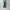 AURALEE 「GARMENT-DYED ORGANIC COTTON HEAVY MOLESKIN PANTS / FADED NAVY」