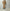 AURALEE 「GARMENT-DYED ORGANIC COTTON HEAVY MOLESKIN COVERALL / FADED BROWN」