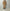 AURALEE 「GARMENT-DYED ORGANIC COTTON HEAVY MOLESKIN COVERALL / FADED BROWN」