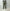 AURALEE 「BLUEFACED WOOL TWO-TUCK SLACKS / OLIVE GRAY STRIPE」