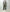 AURALEE 「BLUEFACED WOOL TWO-TUCK SLACKS / OLIVE GRAY STRIPE」