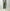 AURALEE 「BLUEFACED WOOL TWO-TUCK SLACKS / OLIVE GRAY STRIPE」