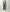 AURALEE 「BLUEFACED WOOL TWO-TUCK SLACKS / OLIVE GRAY STRIPE」
