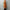 barbell object 「bo-07j08 leather jkt / sand」