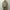 OUR LEGACY 「AERIAL JACKET PIGMENT KHAKI KNIFE EDGE TWILL」