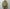 OUR LEGACY 「AERIAL JACKET PIGMENT KHAKI KNIFE EDGE TWILL」