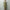 OUR LEGACY 「AERIAL JACKET PIGMENT KHAKI KNIFE EDGE TWILL」
