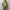 OUR LEGACY 「AERIAL JACKET PIGMENT KHAKI KNIFE EDGE TWILL」