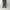 T.T 「Lot.224 M-43 FIELD TROUSERS / BROWN」